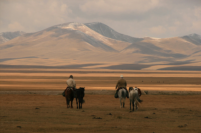 Kirghizistan chevaux