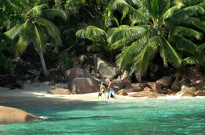 Seychelles Mariage Plongée