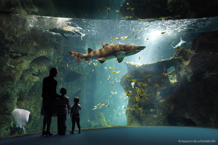 Vacances Poitou famille Aquarium